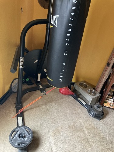 Everlast dual station mma - everlast,