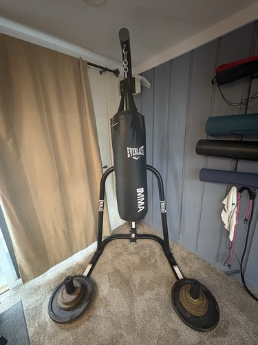 Everlast heavy bag - everlast,