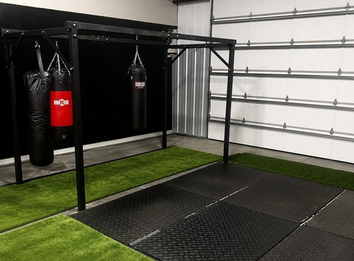 Prolast professional boxing - professional,